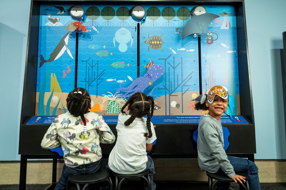 Ocean Swimmers kids web ccm