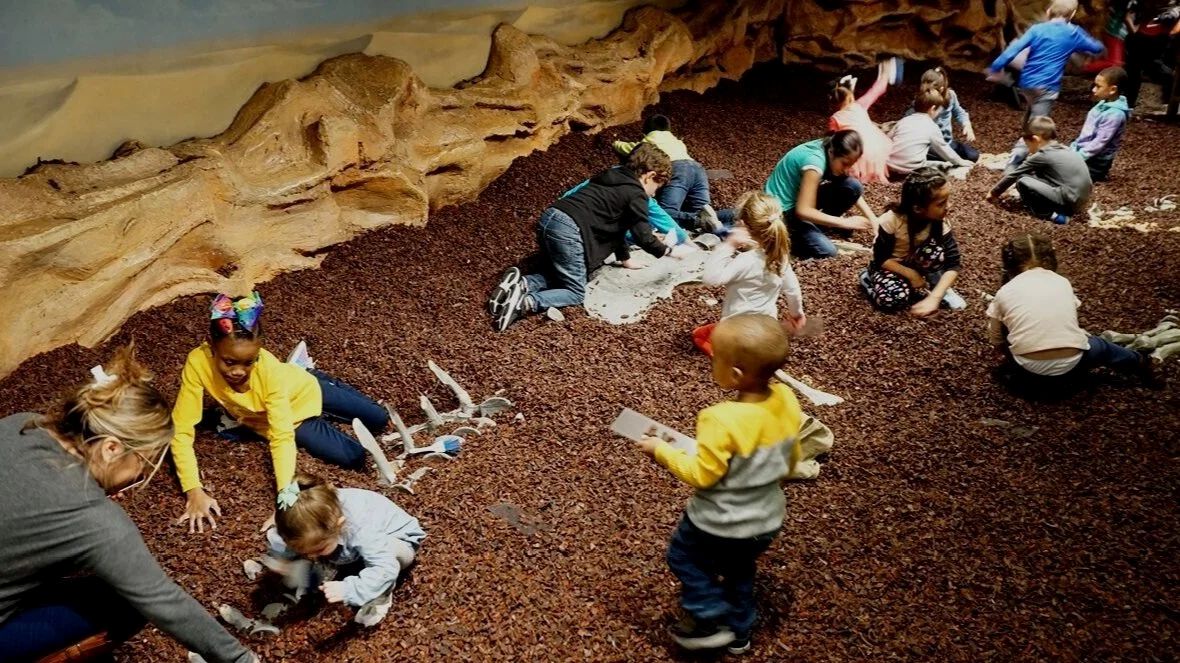 Children digging for fossils in the Dinosaur Expedition exhibit