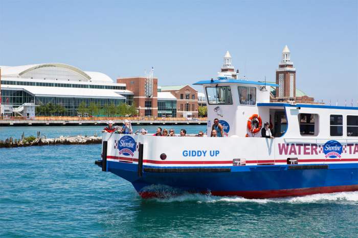 Shoreline Sightseeing