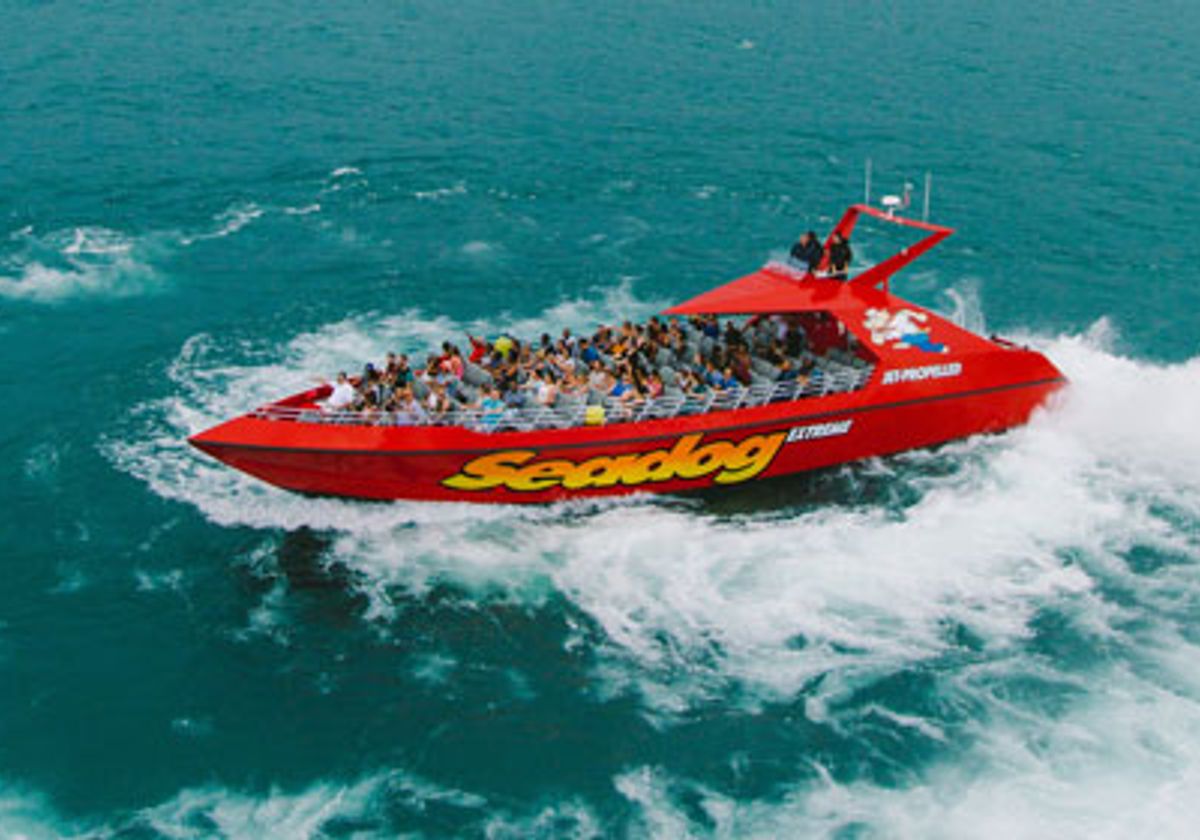 Seadog Cruises Extreme Boat on Lake Michigan