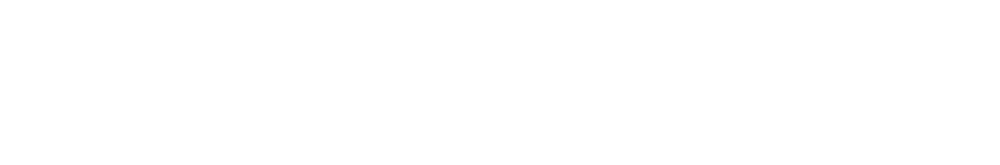 Mr. and Mrs. Norman Bobins, The Robert Thomas Bobins Foundation Sponsor Logo for Navy Pier Expierience Gala