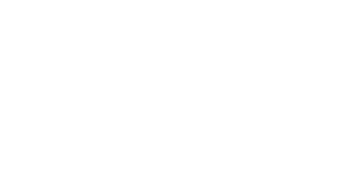 Anchor City Cruises White Sponsor Logo for Navy Pier Expierience Gala