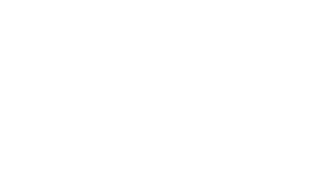 Jacolyn and John Bucksbaum Sponsor Logo for Navy Pier Expierience Gala