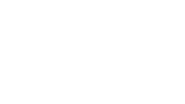 Joan and Bill Broadsky Sponsor Logo for Navy Pier Expierience Gala