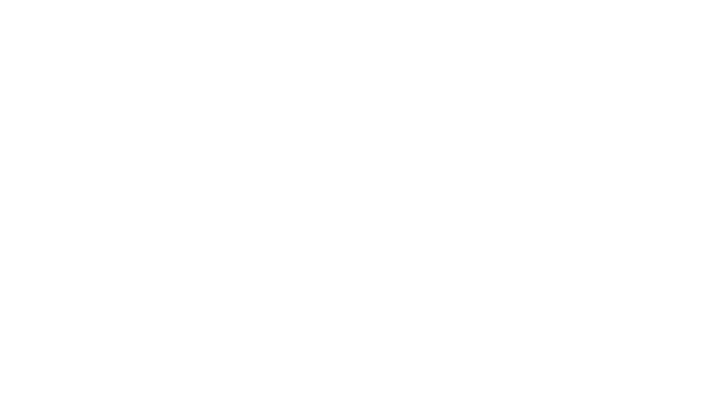 Koch Family Foundation Sponsor Logo for Navy Pier Expierience Gala