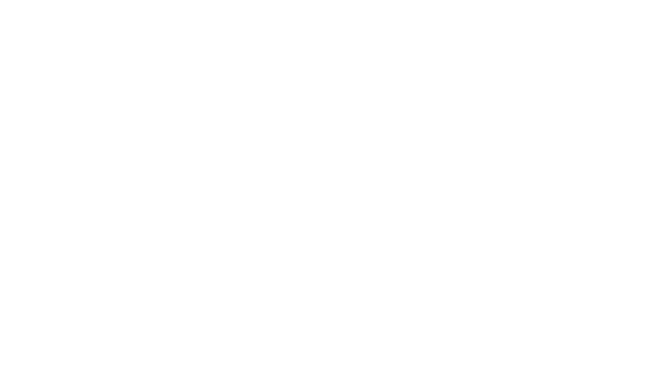 Laura and Craig Martin Sponsor Logo for Navy Pier Expierience Gala