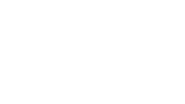 Michelle L. Collins Sponsor Logo for Navy Pier Expierience Gala