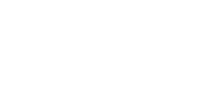Mr. and Mrs. Norman Bobins, The Robert Thomas Bobins Foundation Sponsor Logo for Navy Pier Expierience Gala
