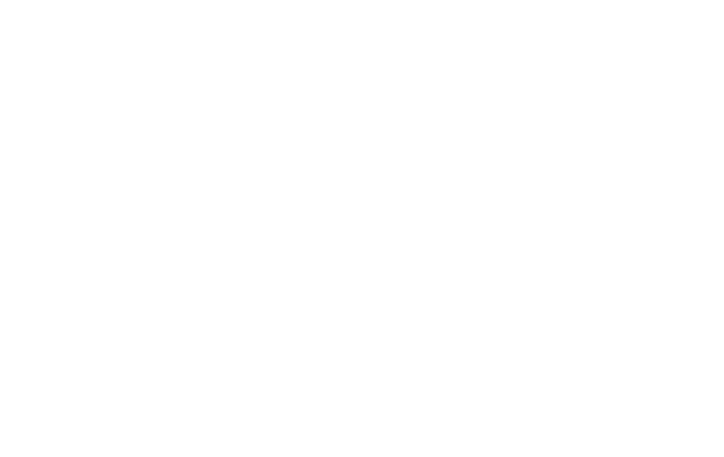 Polk Bros Foundation Sponsor Logo for Navy Pier Expierience Gala