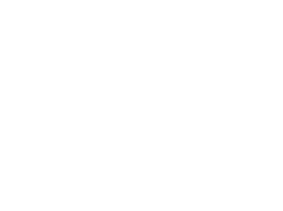 Sky Elements Drone Show Sponsor Logo at Navy Pier Expierience Gala