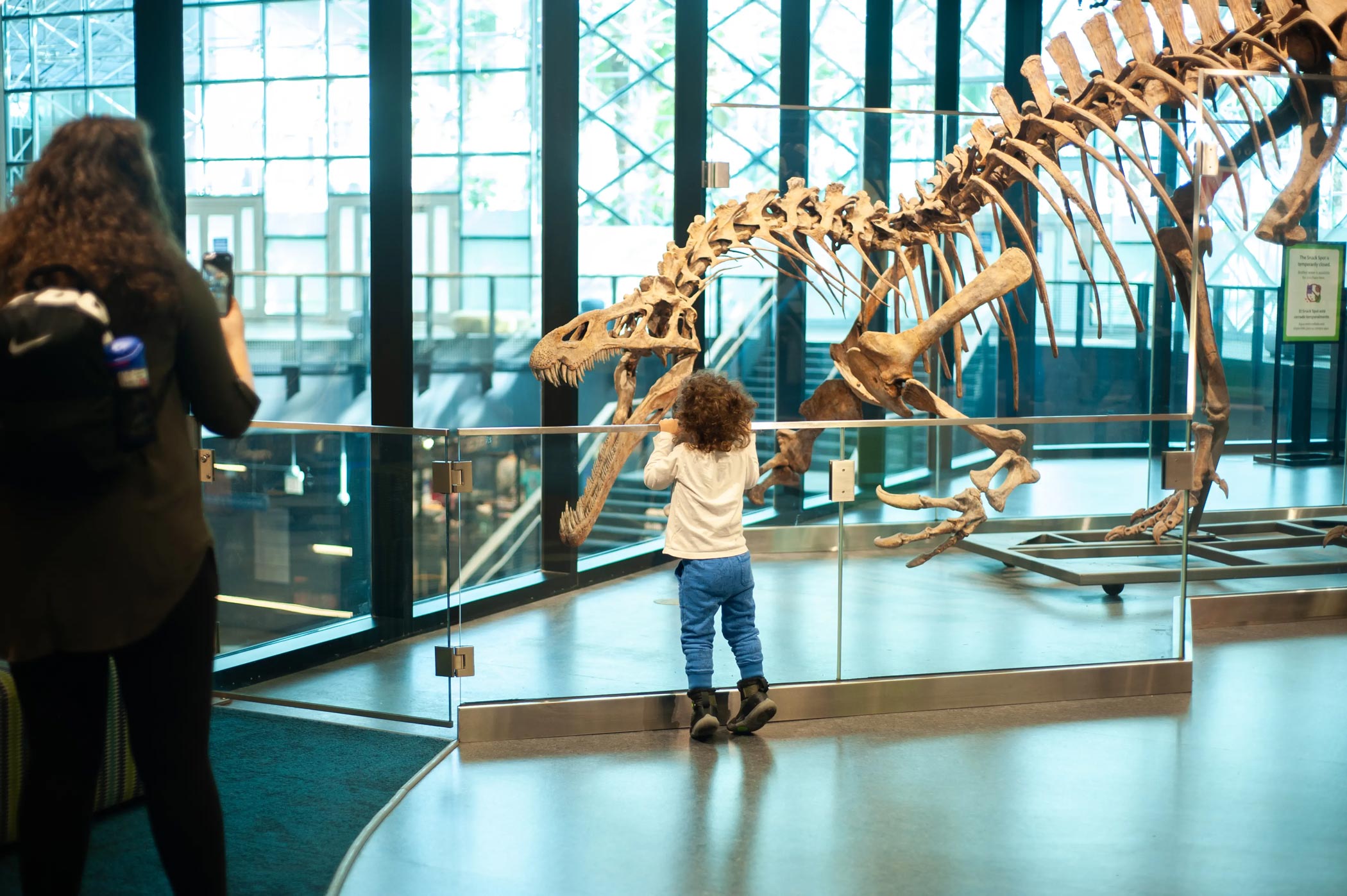 Free Family Days with Chicago Children's Museum