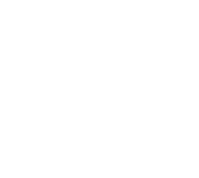 International Union of Operating Engineers Local 399 Sponsor Logo for Navy Pier Expierience Gala