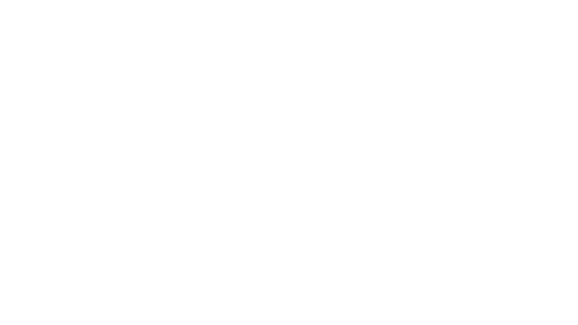 Lisa and Jeffrey Aronin Sponsor Logo for Navy Pier Expierience Gala