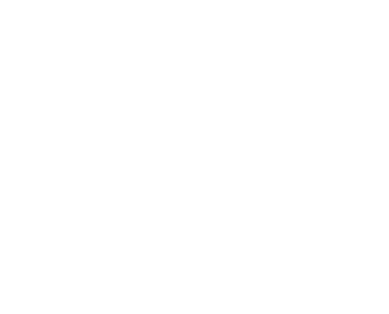Sable at Navy Pier Sponsor Logo for Navy Pier Expierience Gala