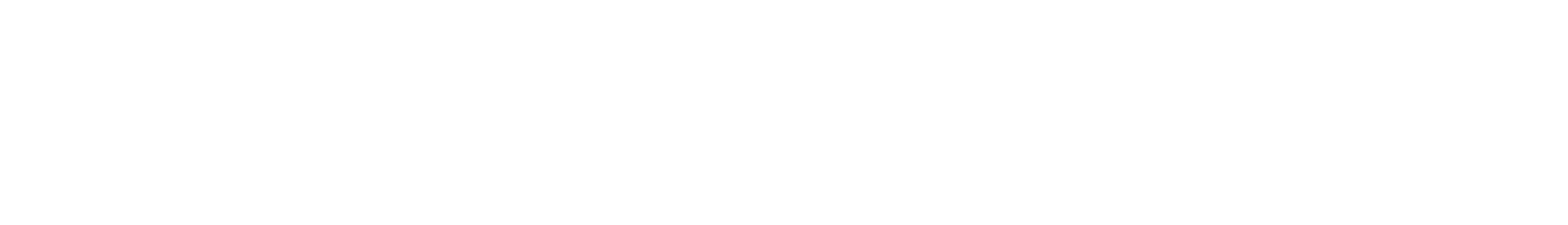 Navy Pier Steans Family Foundation Logo