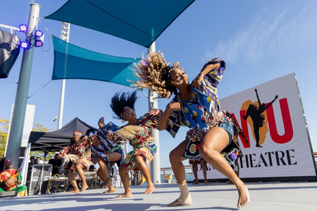 Navy Pier Chicago Live Performance Photo