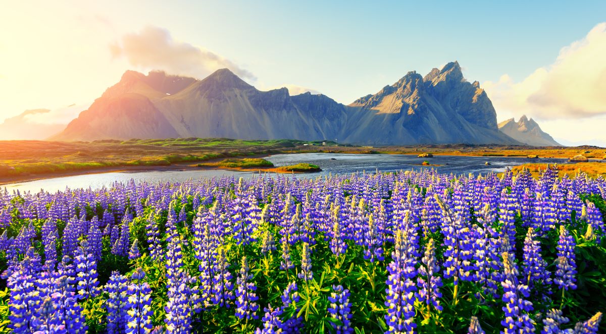 Vestrahorn mountains 2 (1) 4 Flyover Iceland web