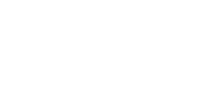 gala sponsor ariel alternatives
