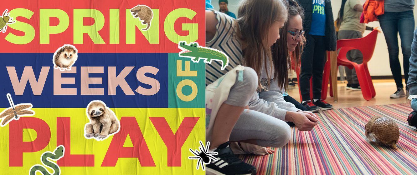 Navy Pier spring break activities and animal encounters