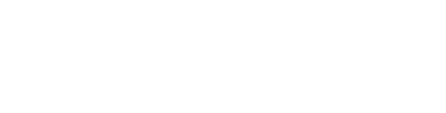 American Airlines Logo.white