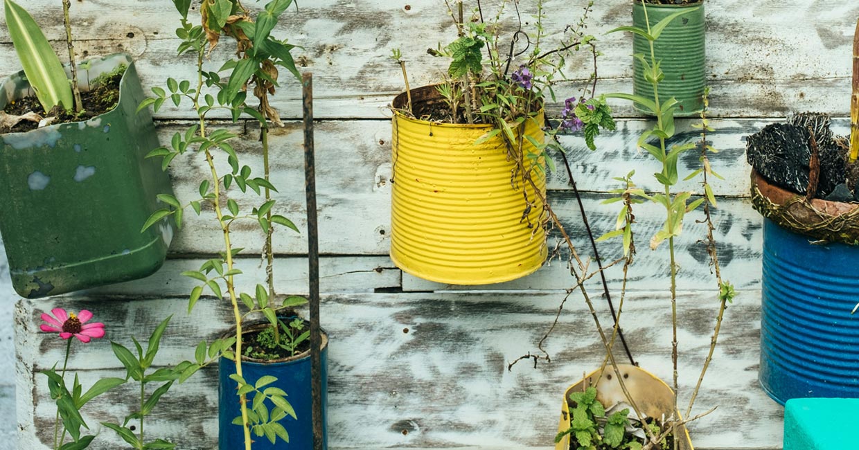 Navy Pier recycled tin can planters vibrant wall display