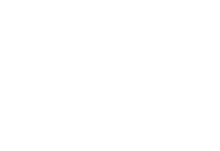 navy pier marina logo