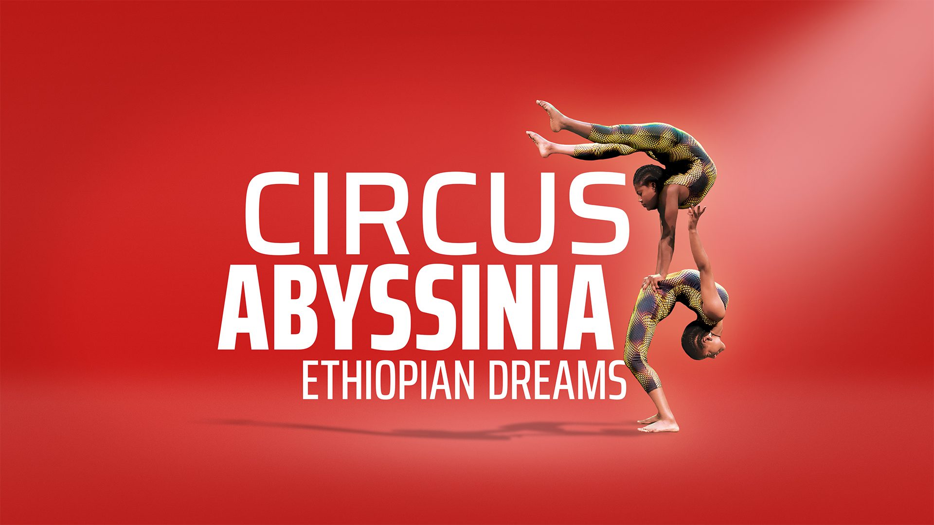 Daring acrobatic performance at Circus Abyssinia: Ethiopian Dreams in Chicago.