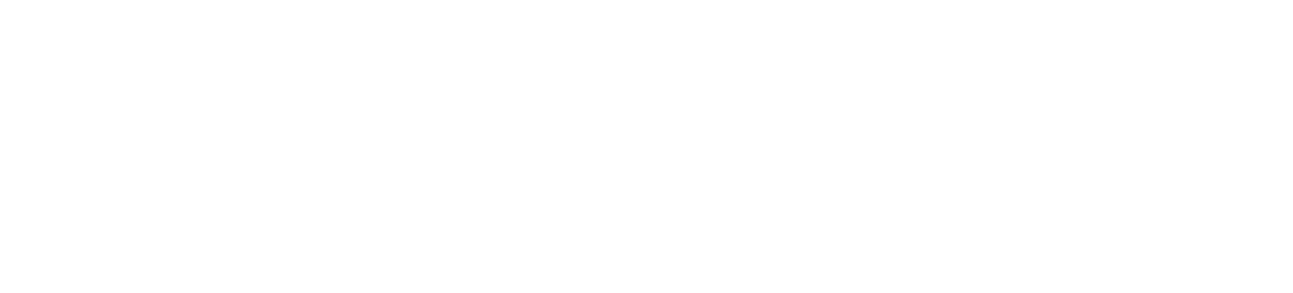 Tully & Associates logo for Navy Pier Gala event