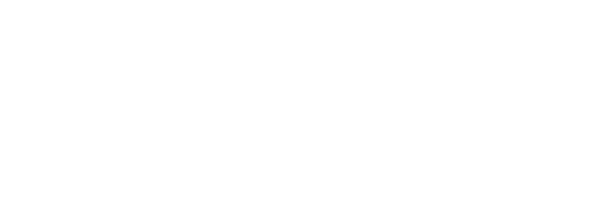 Willkie Farr & Gallagher LLP logo for Navy Pier Gala event