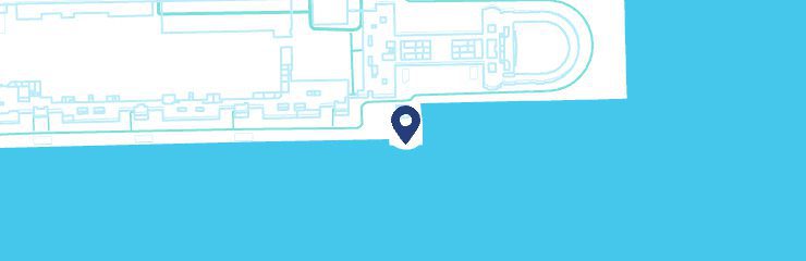 Static map showing the Navy Pier Compass Rose location
