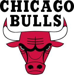 Chicago Bulls official red and black bull logo