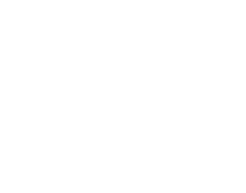 Pyrotecnico