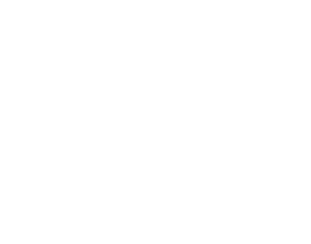 Shoreline Sightseeing