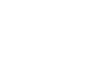 Chico and Nunes