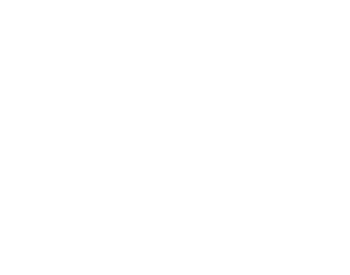 Globetrotters