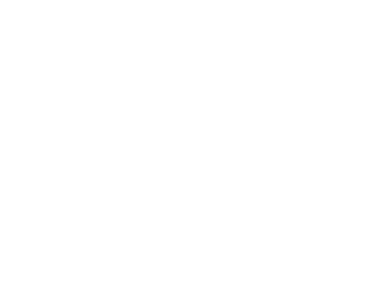Mayer Brown and John Schmidt