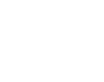 Chico and Nunes