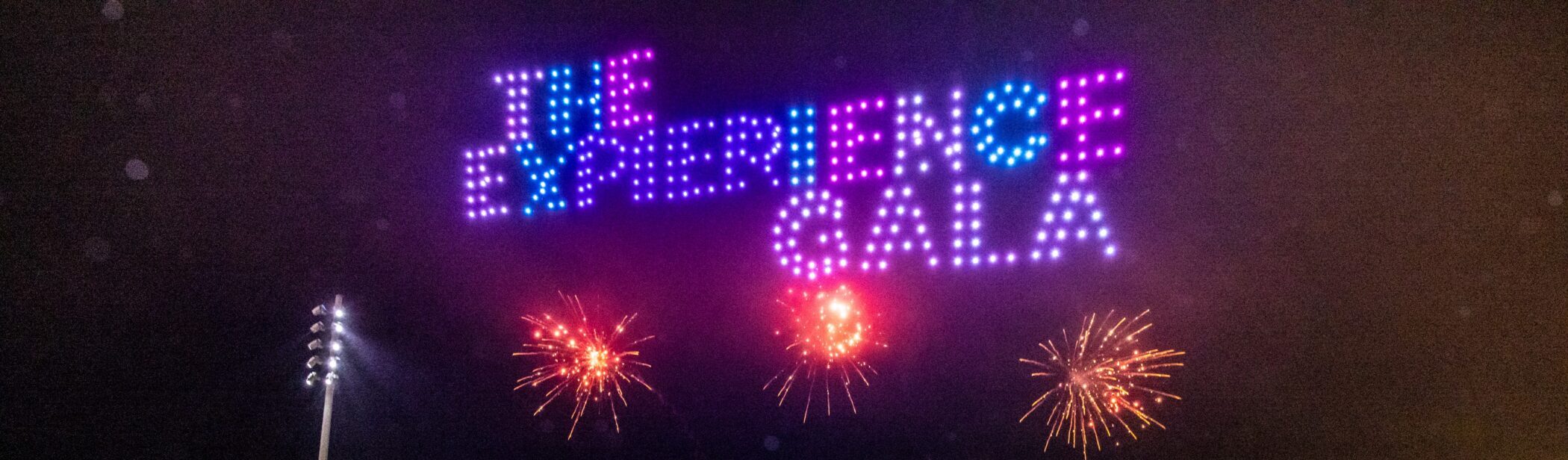 Navy Pier The ExPIERence Gala crop
