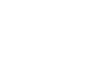 Steans Family Foundation